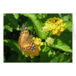 Painted Lady Butterfly on Lantana Greeting Card