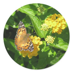 Painted Lady Butterfly on Lantana sticker