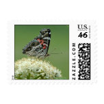 Painted Lady Butterfly Stamps