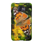 Painted Lady Butterfly (Vanessa cardui) casemate cases
