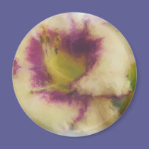 Painted Lily magnets