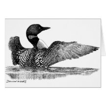 Painted Loon Card