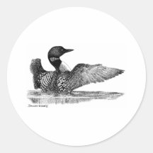 Painted Loon Stickers