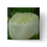Painted Magnolia buttons