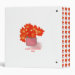 Back/Spine
