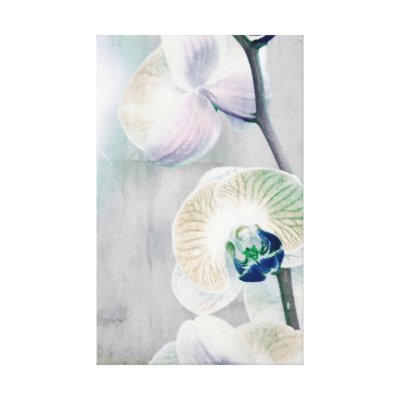 Orchid Canvas