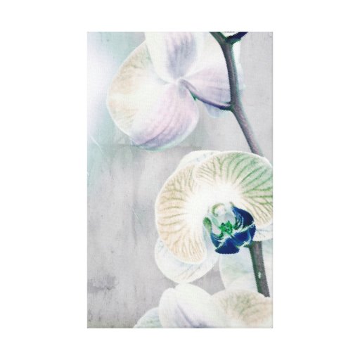 Painted Orchid Canvas Canvas Prints
