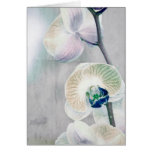 Painted Orchid Card
