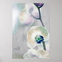 Painted Orchid Poster