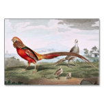 Painted Pheasants Table Card