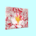 Painted Pink Camellia Abstract Art Print canvas prints