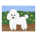 Painted Poodle posters by totallypainted Painted Poodle posters