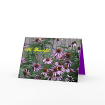 Painted Purple Coneflower Cards