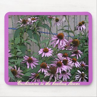 Painted Purple Coneflower mousepad