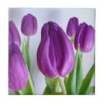 Painted Purple Tulips Tile