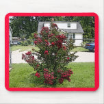 Painted Red Myrtle Bush mousepads