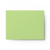 Painted Retro Circles orange green A2 Envelope envelopes