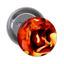 Painted Rose Buttons