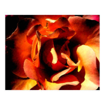 Painted Rose Canvas Print by wingedturtle Painted Rose Canvas Print
