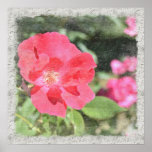 Painted Rose Floral Garden Poster