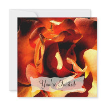 Painted Rose Invitations