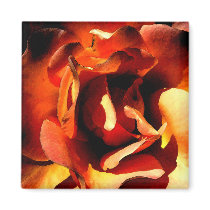 Painted Rose Magnets