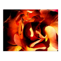 Painted Rose Notes Card Post Card