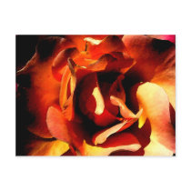 Painted Rose Postcard
