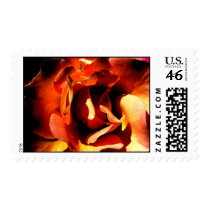 Painted Rose Stamps
