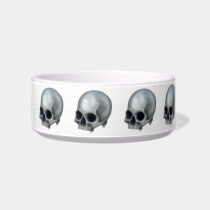 Painted Skull Pet Bowl Cat Bowl