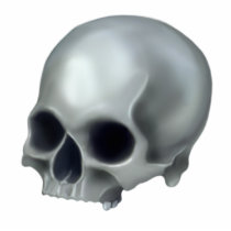 Painted Skull Photo Sculpture