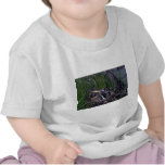 Painted Snipe Tee Shirts