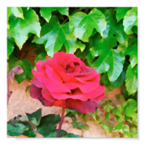 "Painted Sonoma Rose" Art Poster posters