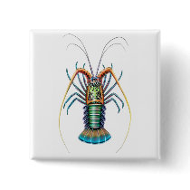 Painted Spiny Lobster Pin buttons by twopurringcats Painted Spiny Lobster Pin buttons