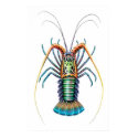 Painted Spiny Lobster Poster posters by twopurringcats Painted Spiny Lobster Poster posters