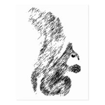 Painted Squirrels Postcard