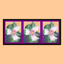 Painted Trillium Bookmark rack cards