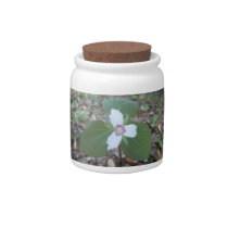 Painted Trillium Candy Dish