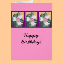 Painted Trillium! cards