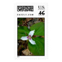 Painted Trillium postage