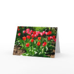 "Painted Tulips" Blank Greeting Card