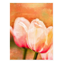 Painted Tulips Post Card