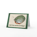 Painted Turtle Birthday Greeting Card