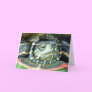 Painted Turtle (Chrysemys picta) 2 Cards
