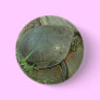 Painted Turtle (Chrysemys picta) Pinback Buttons