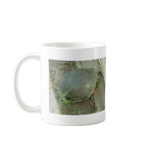 Painted Turtle (Chrysemys picta) mugs by JeanC_PurpleDucky Painted Turtle (Chrysemys picta) mugs