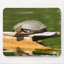 Painted Turtle Mousepad