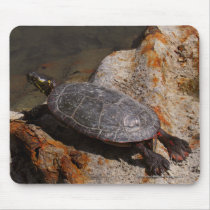 Painted Turtle On Rusty Metal mousepads by Mike_Montalvo Painted Turtle On Rusty Metal mousepads