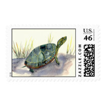 Painted Turtle Postage Stamp stamps