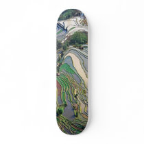 painted turtle skateboards by lenio93 painted turtle skateboards